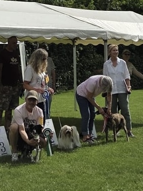 1. Platz in ihrer Klasse meine gute Wilma