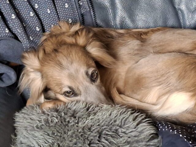 meine beste Jette