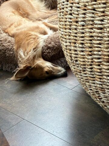 Nomi voll entspannt
