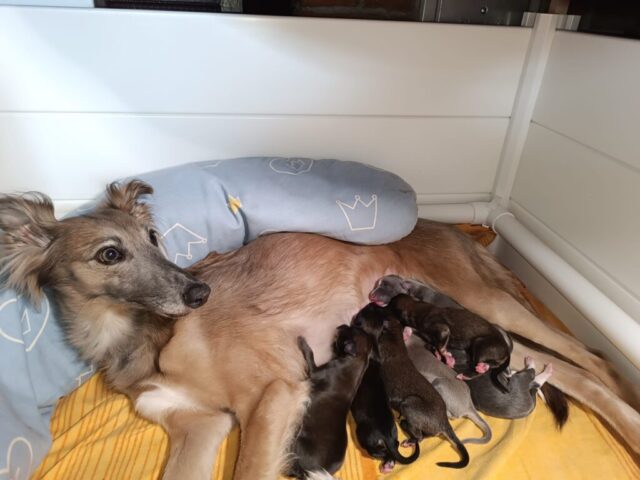 Tag zwei und alles fröhlich