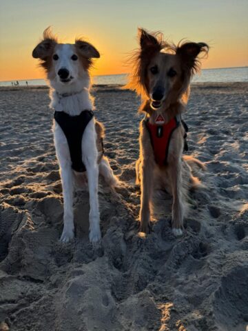 mein Prinzessin und ihr Freund machen Urlaub
