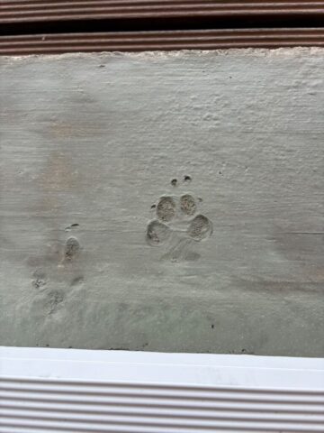 tja sowas habe ich auch im Beton, ich war auch zu langsam