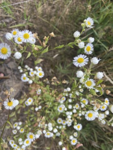 und noch ein Wandersonntag
