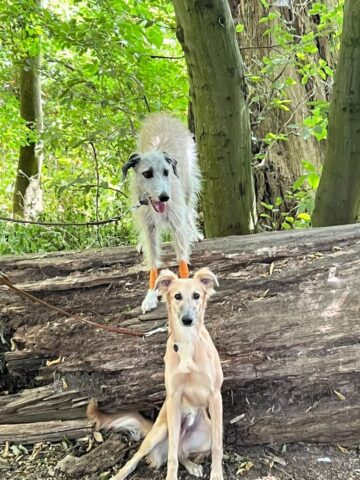 Pepper ist auch so groß geworden