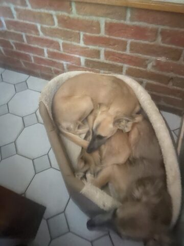 Mama Jette und ein großes Kind