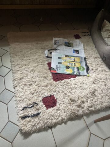 ....die hatte ich noch nicht gelesen