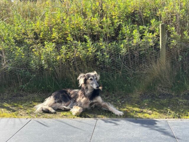 Paul im Urlaub