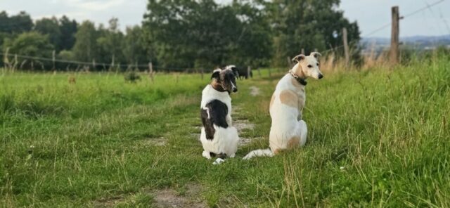 Tilda und Lino
